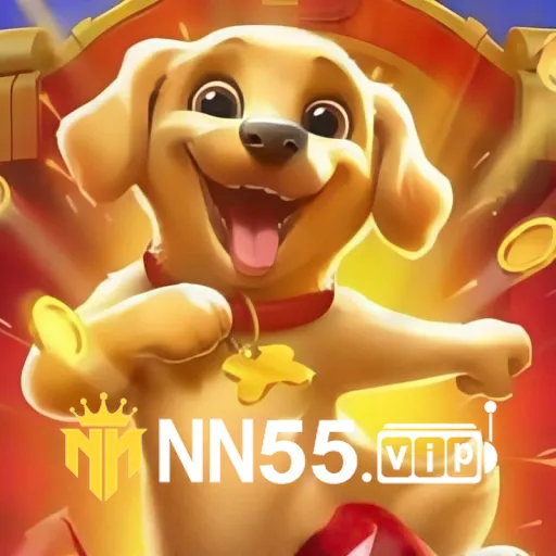nn55 Logo